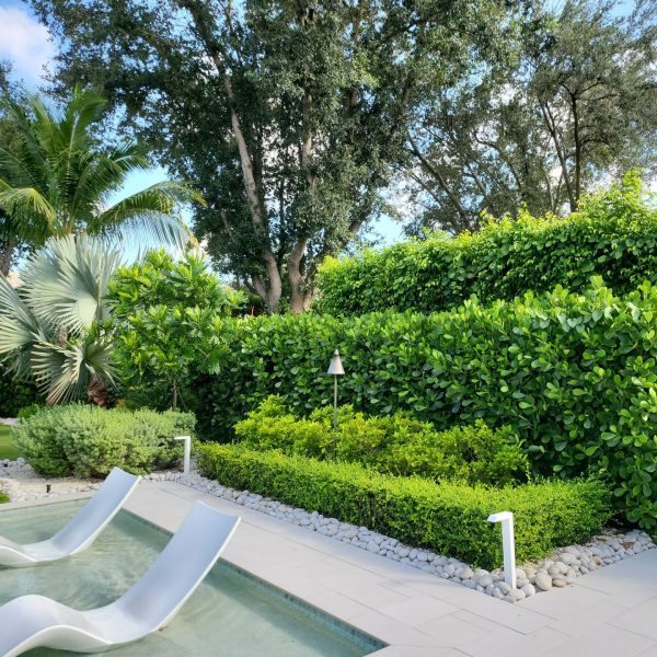 Backyard | Love's Landscape Landscape Installation & Maintenance Company