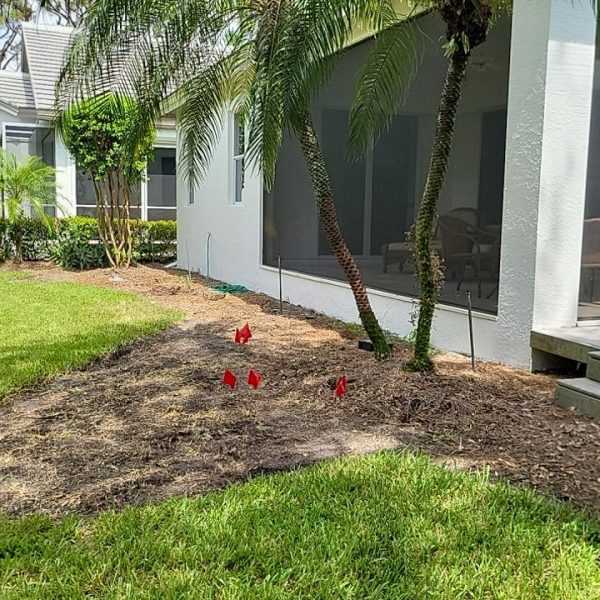 Before back from left side | Love's Landscape Landscape Installation & Maintenance Company