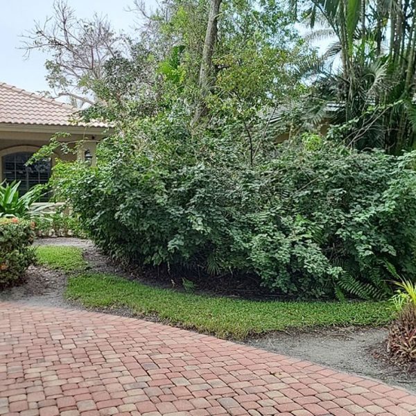 Before Downtown Naples Private Residence before photo from right side