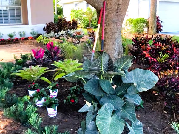 Colorful shade options installed and designed by Love's Landscape