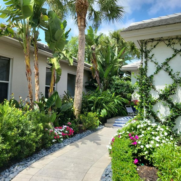 Entry with porcelain pavers, beach pebble borders, espalier confederate jasmine, annuals