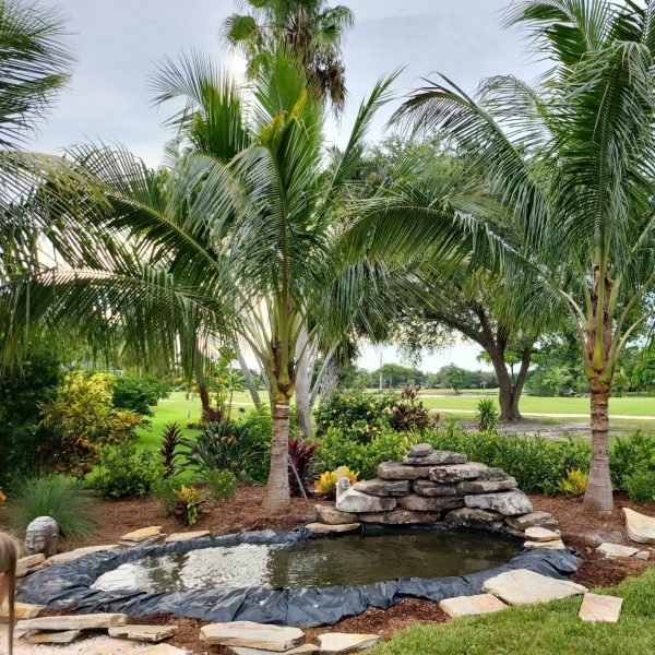 Koi pond surrounded by stacked stone and Coconut Palms | Love's Landscape Landscape Installation & Maintenance Company
