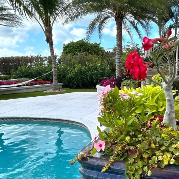 Metis Design Private Residence Aqualane Shores | Love's Landscape Landscape Installation & Maintenance Company