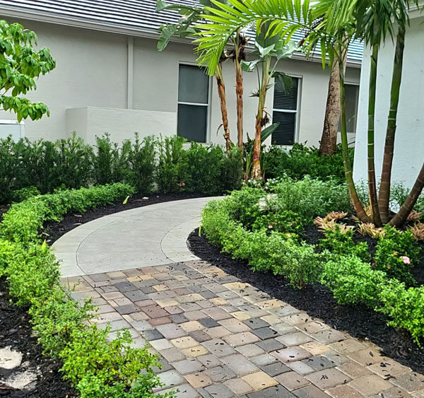 New Installation of plants and walkway | Love's Landscape Landscape Installation & Maintenance Company