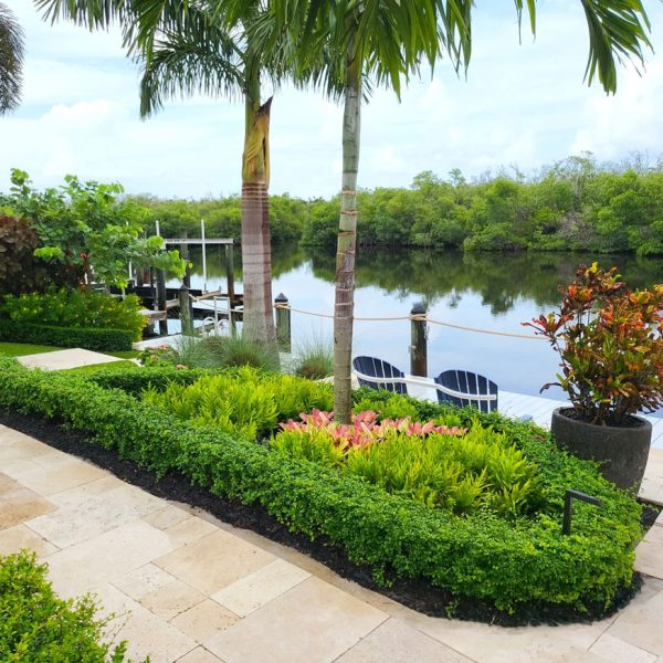 Pathway to Dock with Alexander Palms, wart fern, tea plants, bromeliads potted plants and lighting