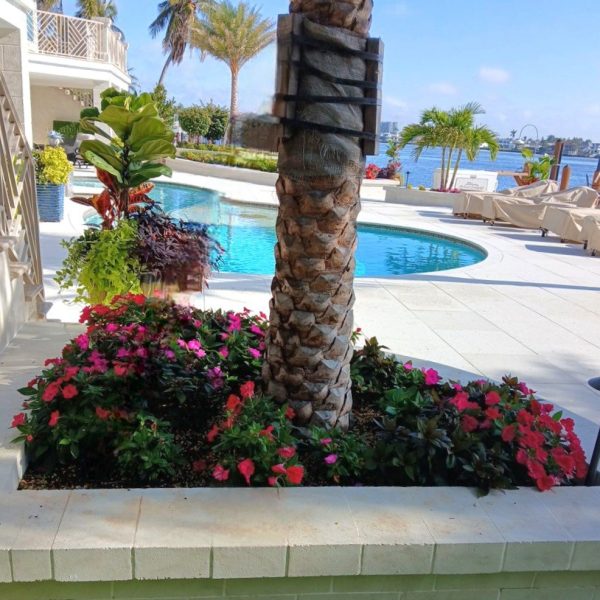 Retaining Walls with annual beds overlooking Naples Bay | Love's Landscape Landscape Installation & Maintenance Company