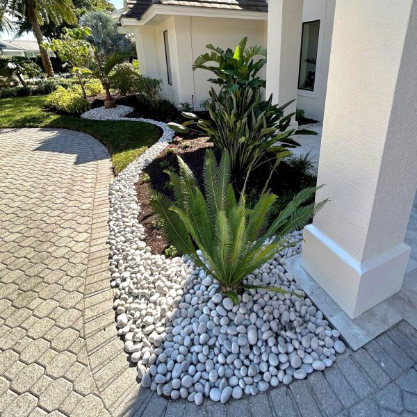 Wyndemere Private Residence - Cycad and natural white beach pebbles